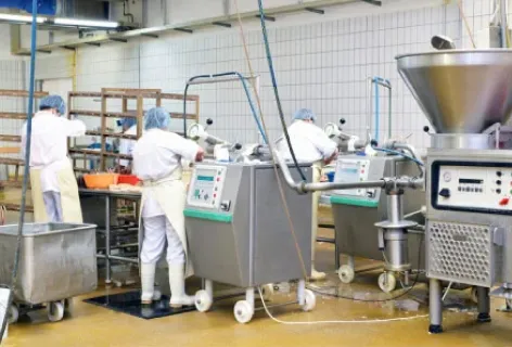 ERP Software for FMCG