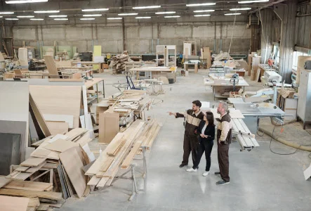 ERP Software for Furniture and Supplies