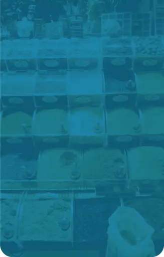 Grocery store software