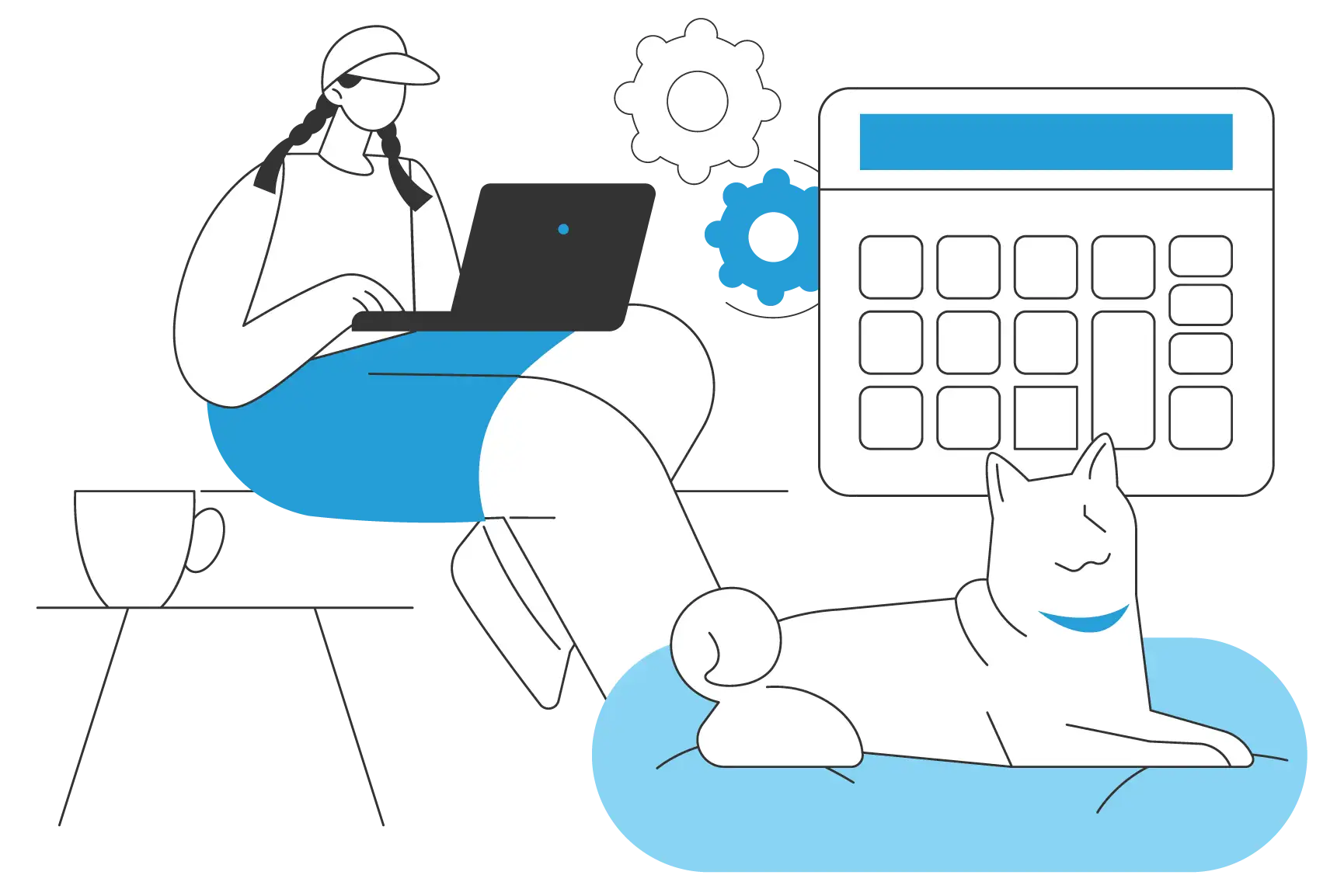 accounting software for pet store